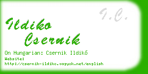 ildiko csernik business card